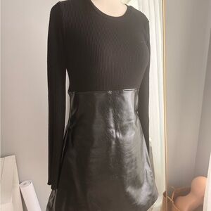 Zara Mini Dress With Black Ribbed Top & Faux Leather Skirt